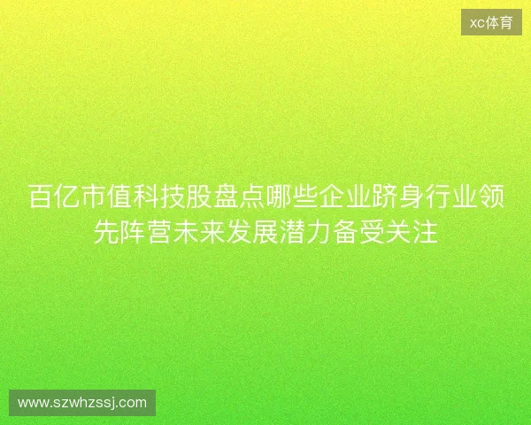 百亿市值科技股盘点哪些企业跻身行业领先阵营未来发展潜力备受关注 百亿市值科技股盘点哪些企业跻身行业领先阵营未来发展潜力备受关注