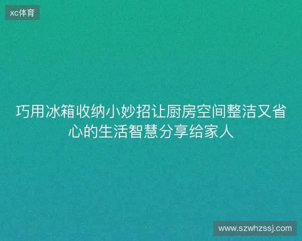 巧用冰箱收纳小妙招让厨房空间整洁又省心的生活智慧分享给家人